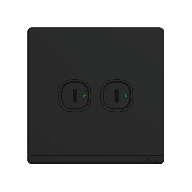 ODESSA 2.1Amp. 2Gang Type-C USB Charger Outlet Black Matte