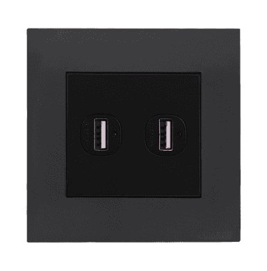 AKOYA 2.1Amp. 2Gang Type-A USB Charger Outlet B/Matte with GM/Matte Surround