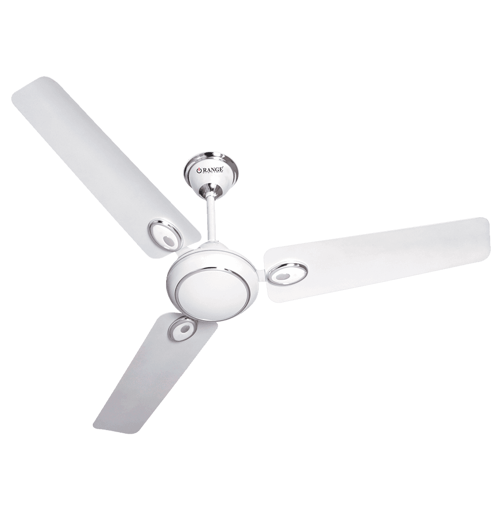 Decorative Ceiling Fan